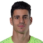 P. Niazmand (Iran)